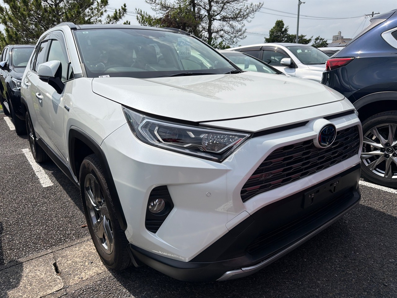 2019 Toyota RAV4