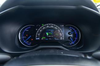 2019 Toyota RAV4 - Thumbnail